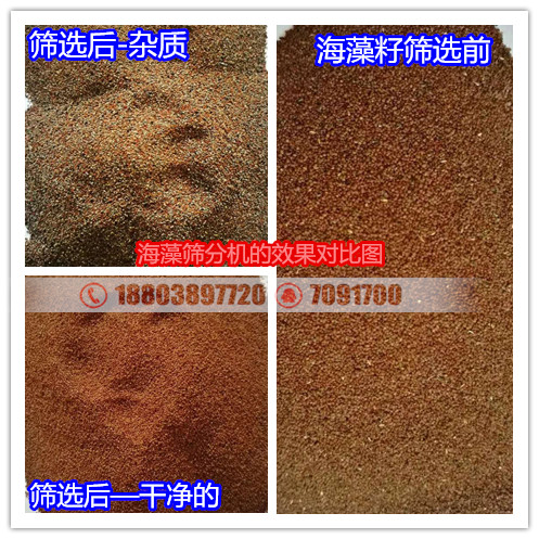 海藻籽风力筛选机 比重风选机