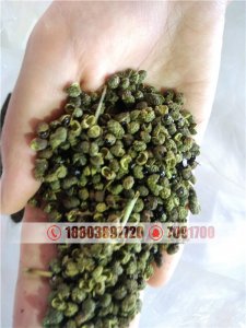 四川绵阳市好用的花椒筛分机
