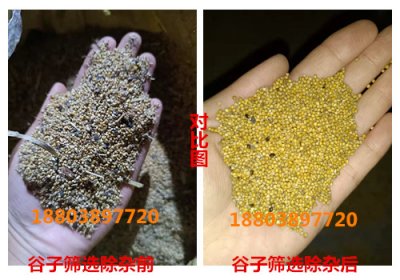谷子清选机,筛选杂质等